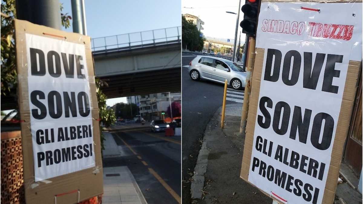 alberi-in-viale-marconi