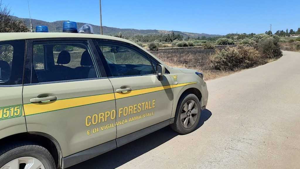 corpo-forestale