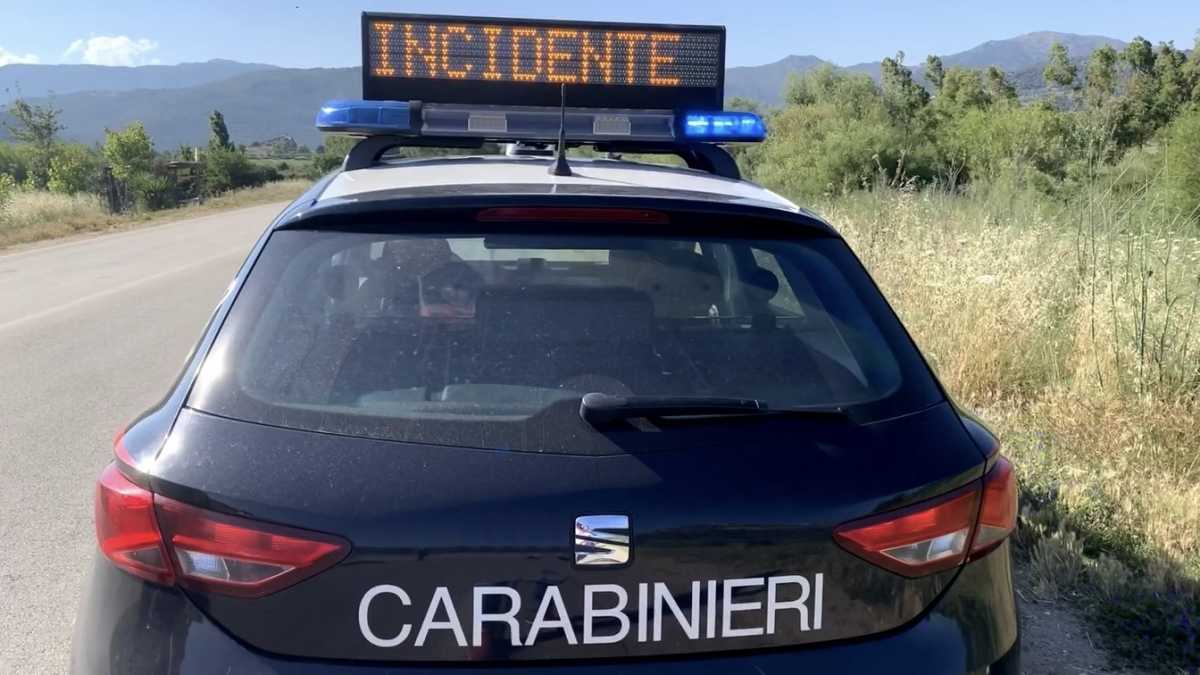 Incidenti Animali incidenti-animali