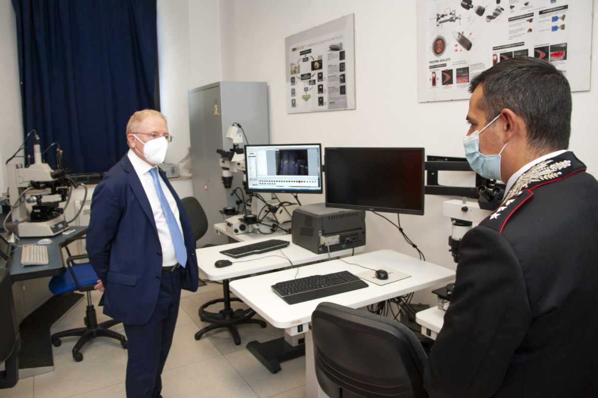 Tomao Ris 2 Tomao-Ris-2