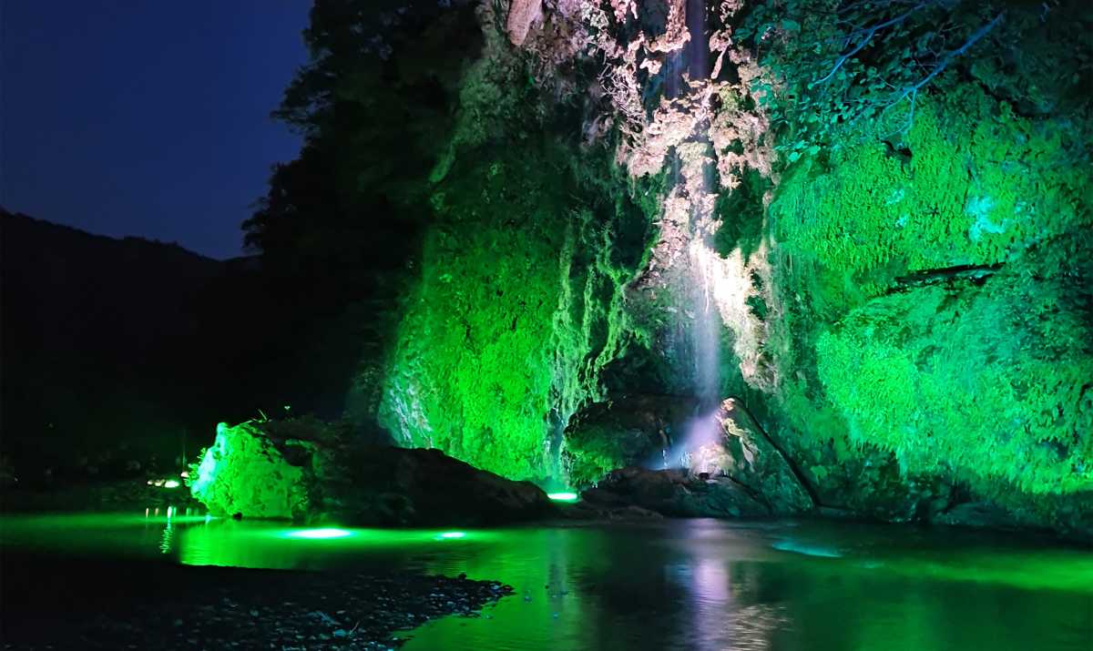 Sa-Stiddiosa-Notturna