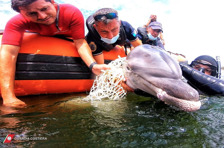 Schermata-2021-08-24-alle-190859