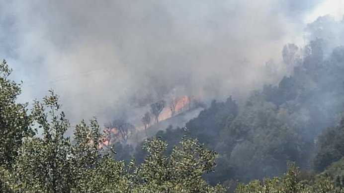 Incendio Seui incendio-seui