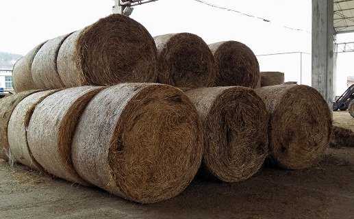 rotoballe-fieno