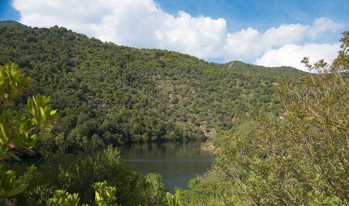 003parcoregionalegutturumannu-assemini3tn