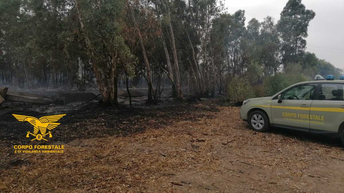 514037950735ca97be565o