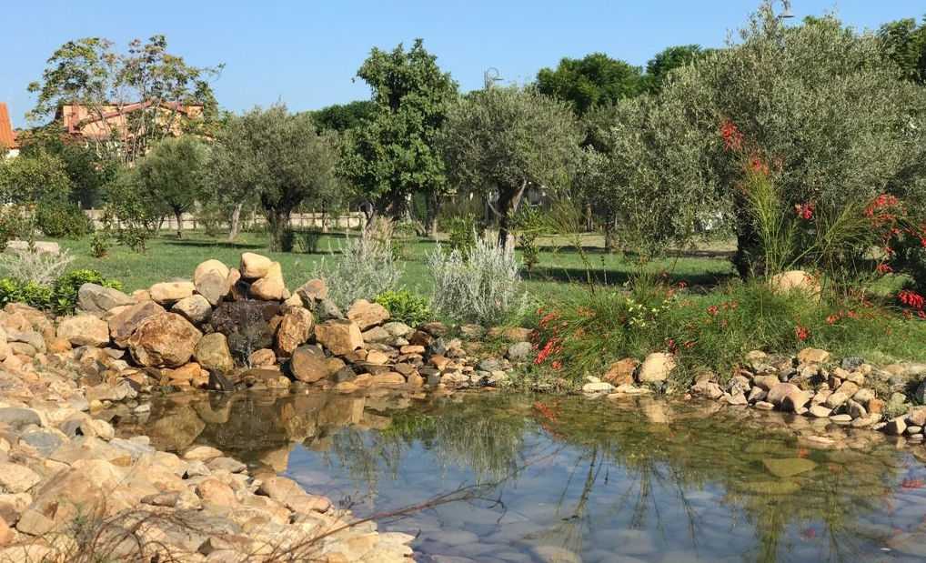 FOTO-UN-BOSCO-IN-CITTA---CHIUSURA-LAVORI-