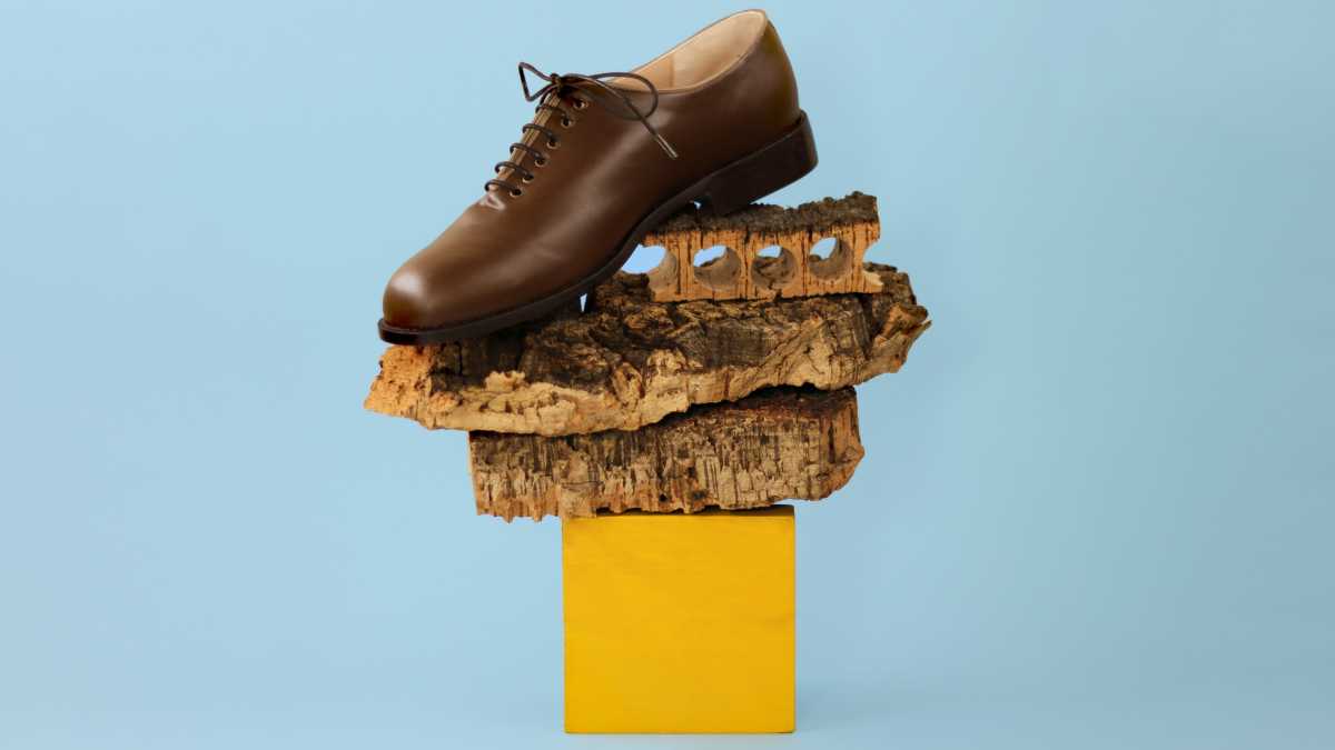 Lebiu-pelle-veg-dal-sughero