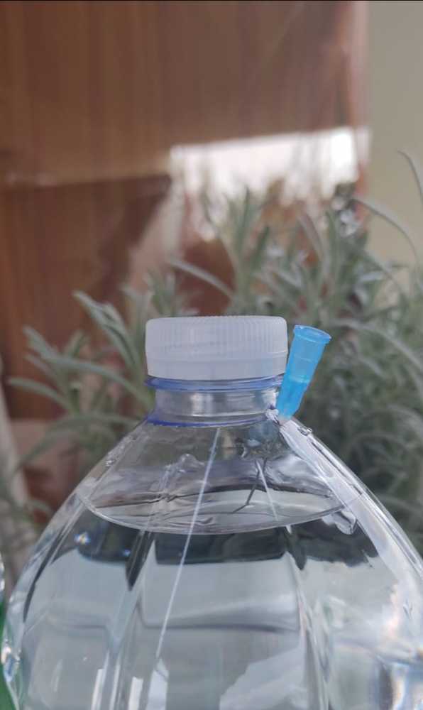 WhatsApp-Image-2021-09-08-at-125151