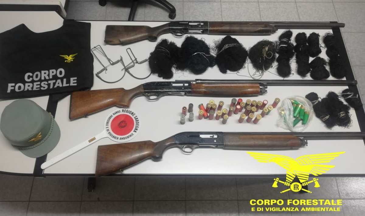 5162951500002d9a4f2a1o