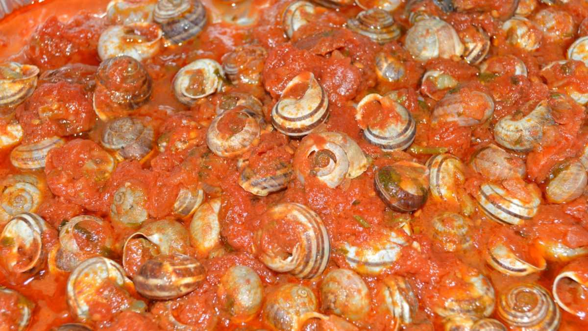 Lumache Gesico lumache-gesico