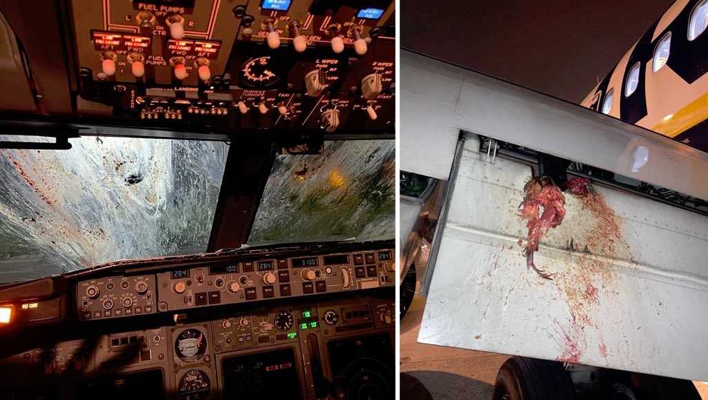 ryanair-bologna-aironi