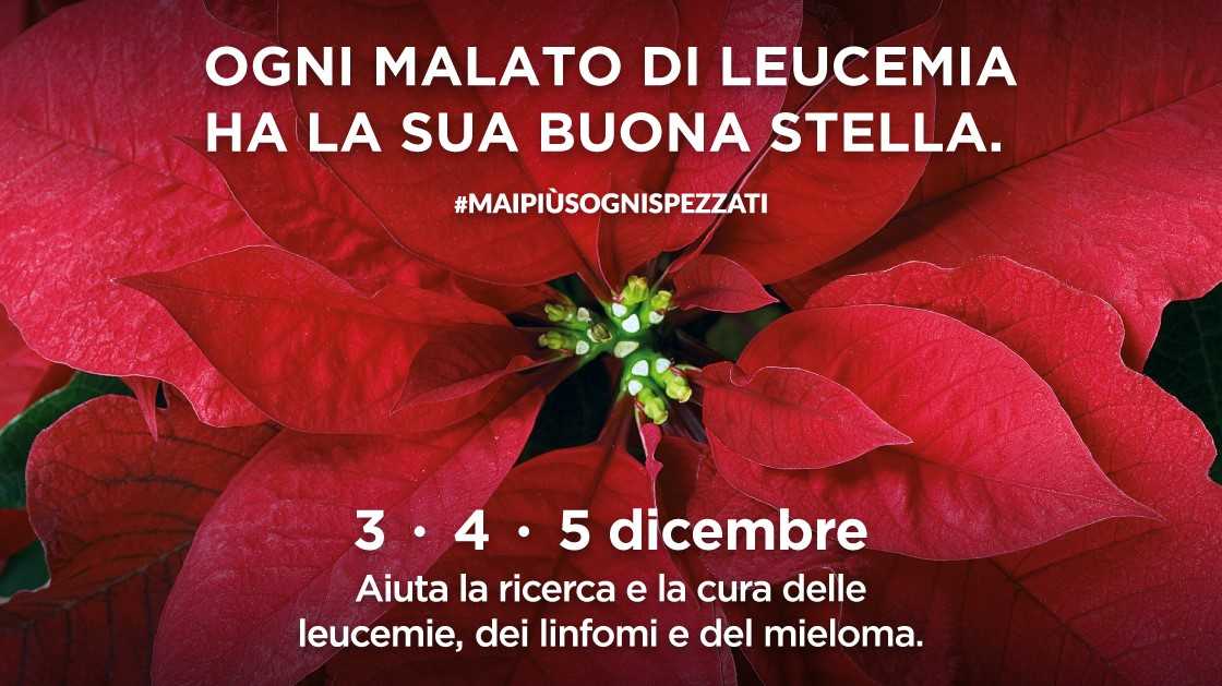 stelle-natale-ail