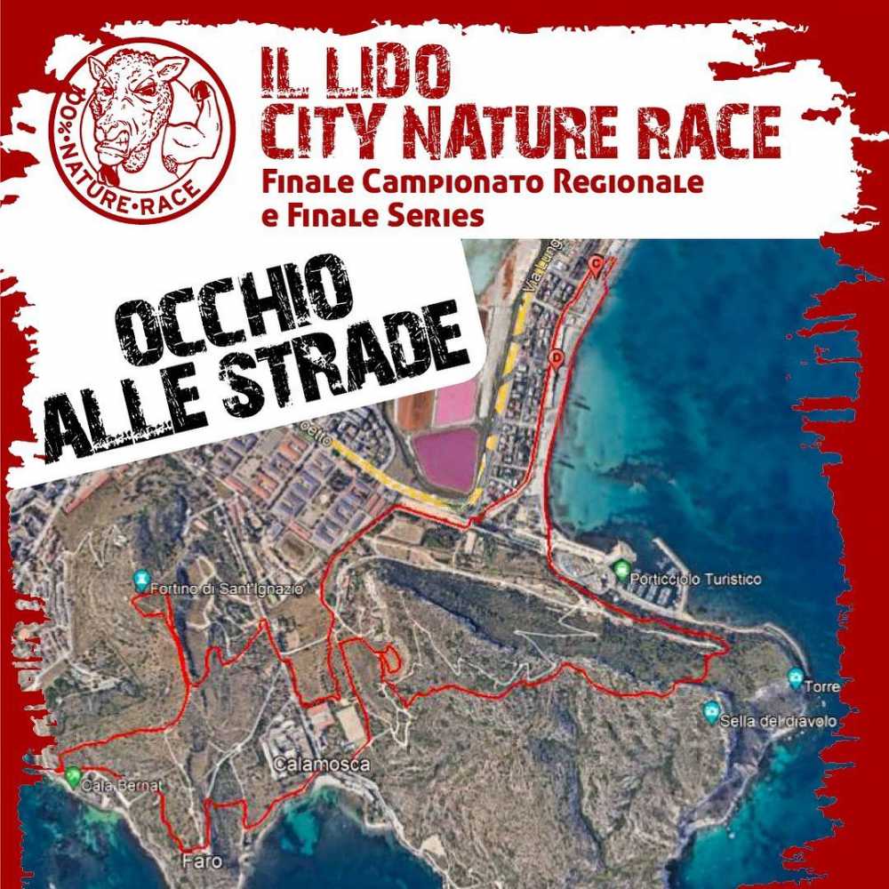 26445862731159199820187708838020500992376071n