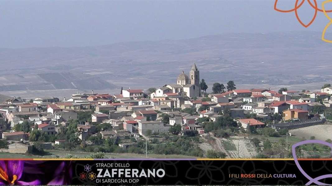 zafferano