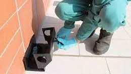 Derattizzazione-a-Cagliari-169