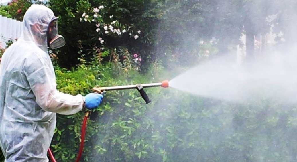 disinfestazione-e-derattizzazione-roma