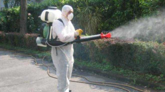 disinfestazioneroditori