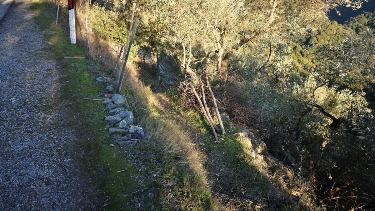 Incidente Seulo Scarpata incidente-seulo-scarpata