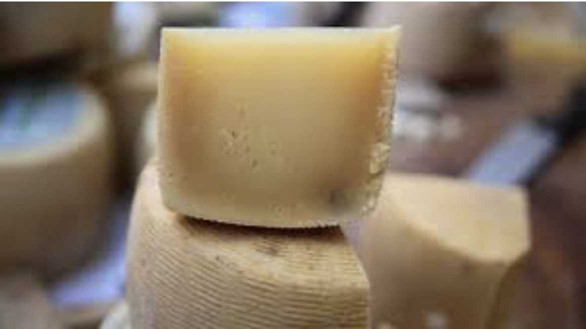 pecorino