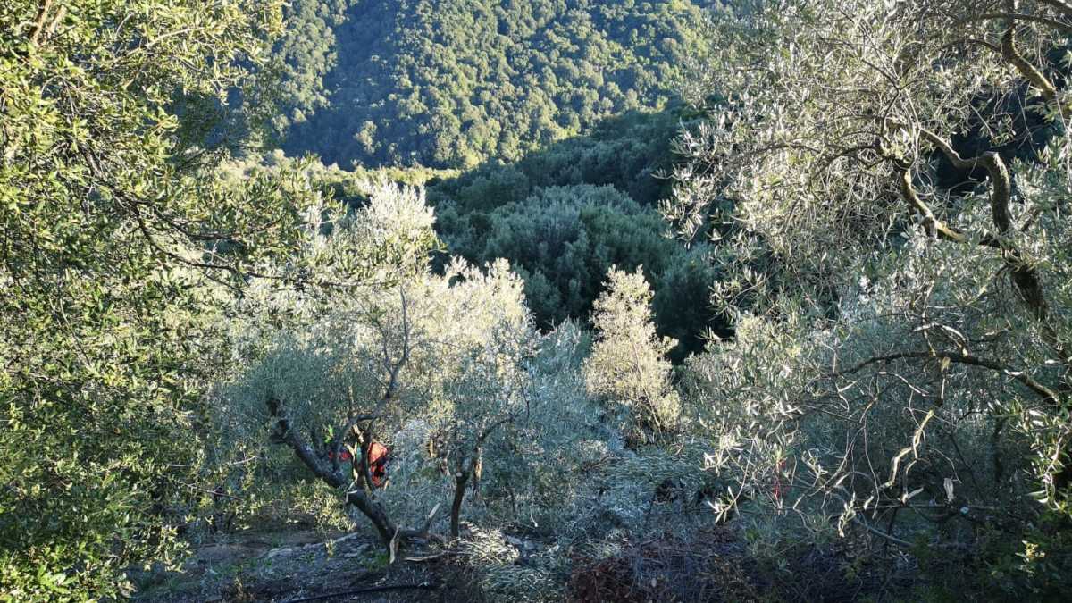 Seulo Incidene Trada seulo-incidene-trada