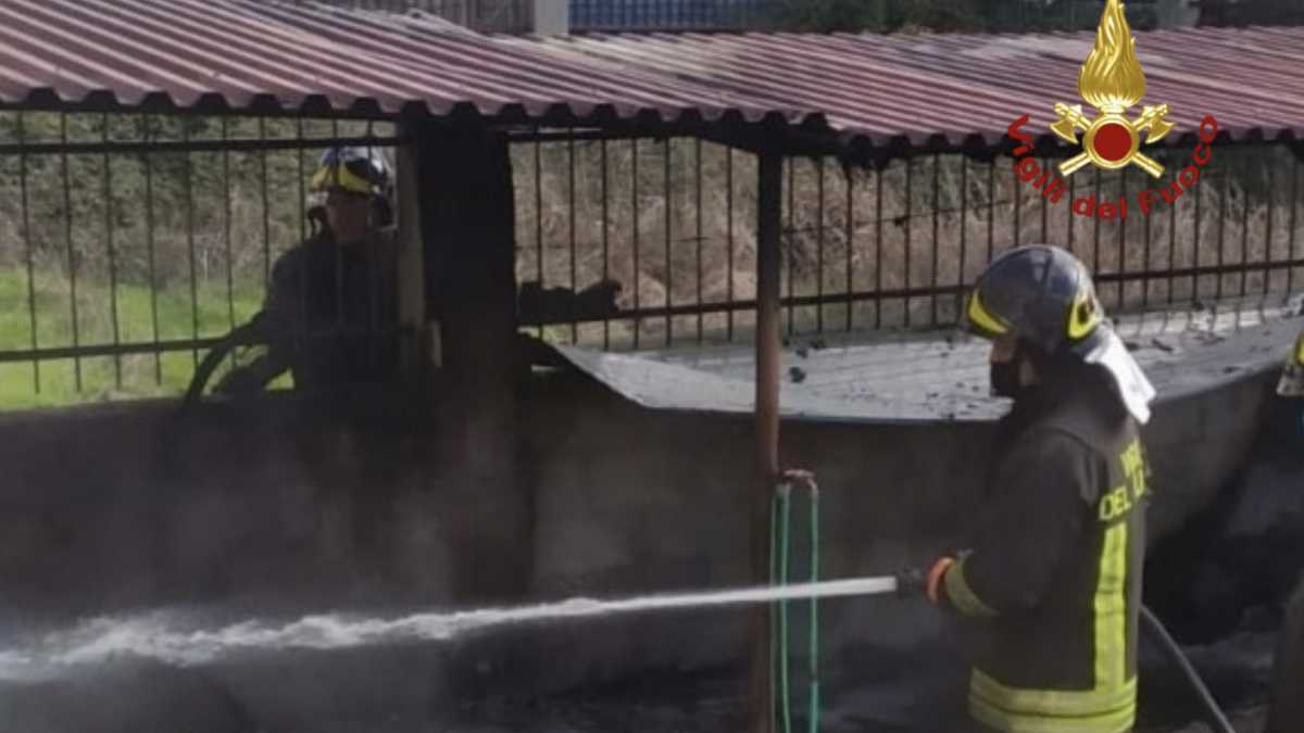 vigili-del-fuoco-incendio-donigala