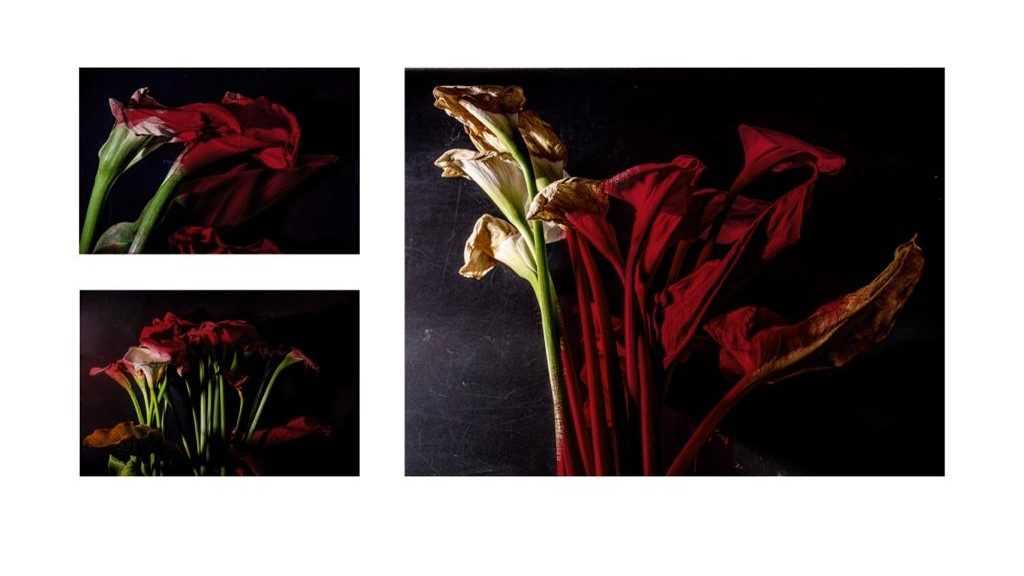 4NostraSanctissimaPh-Giovannni-Coda