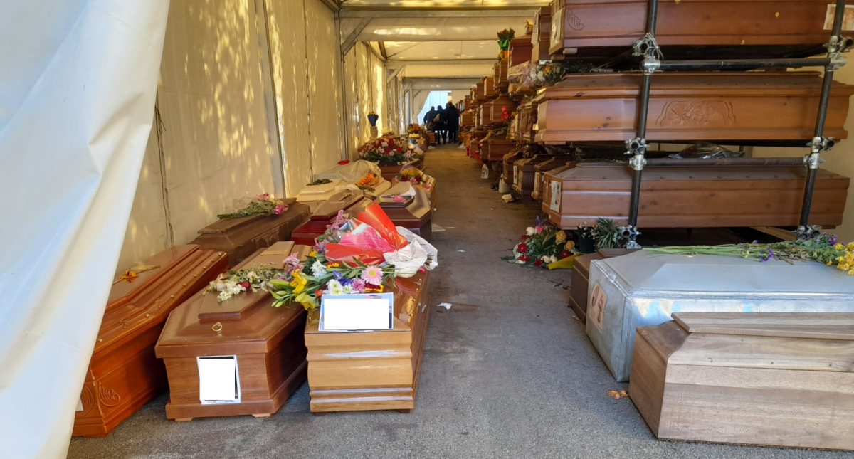 Bare-a-terra-a-Rotoli