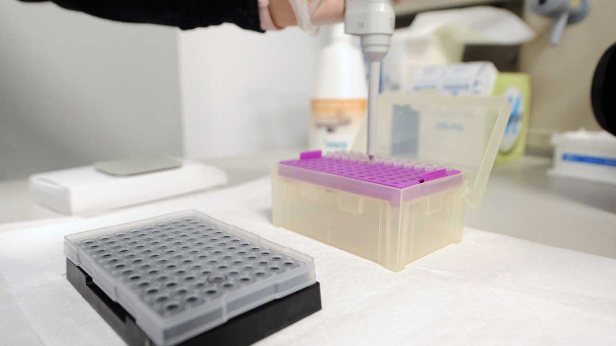 Analisi-di-laboratorio-sul-Covid