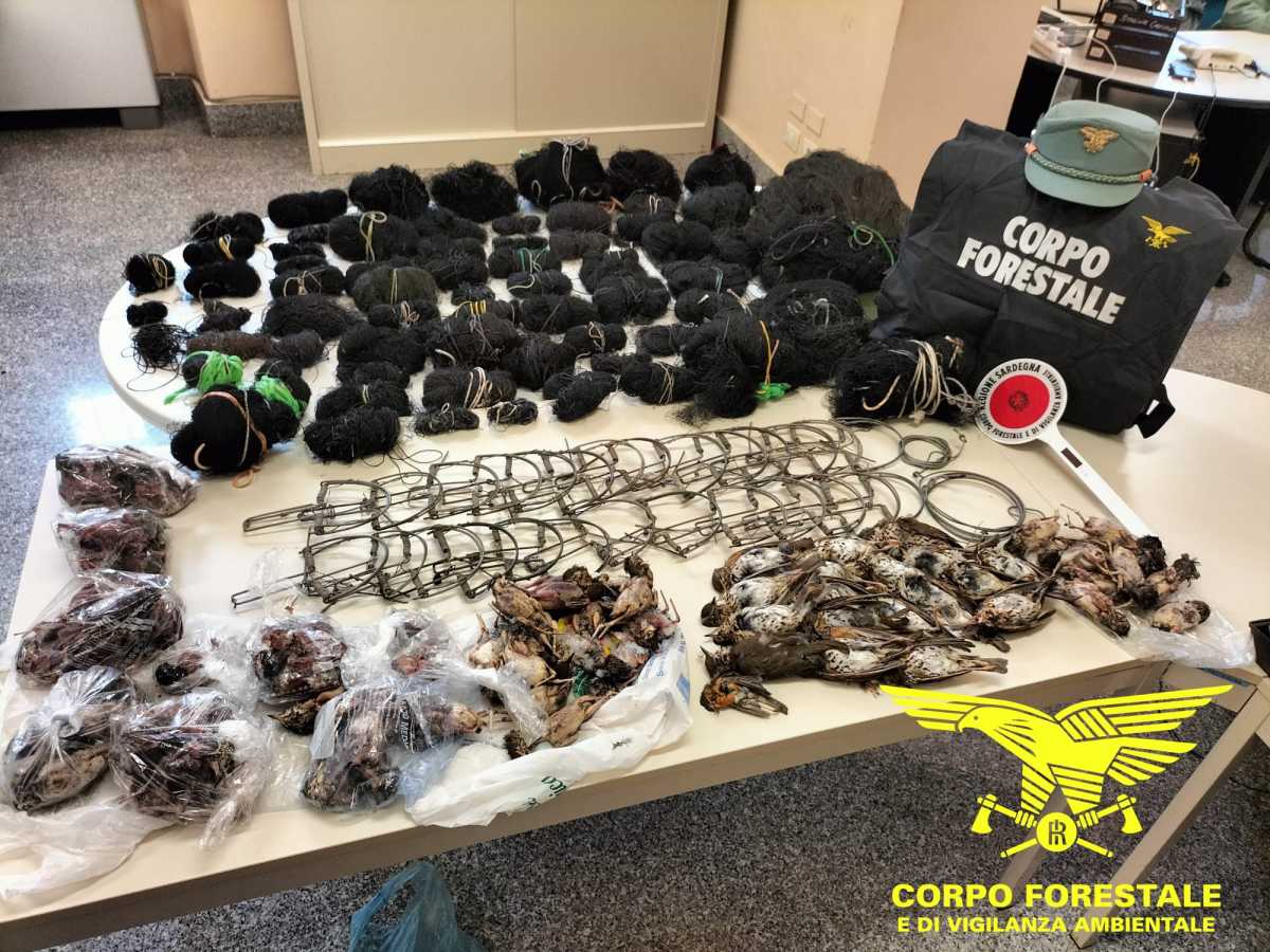 Il-materiale-dei-bracconieri