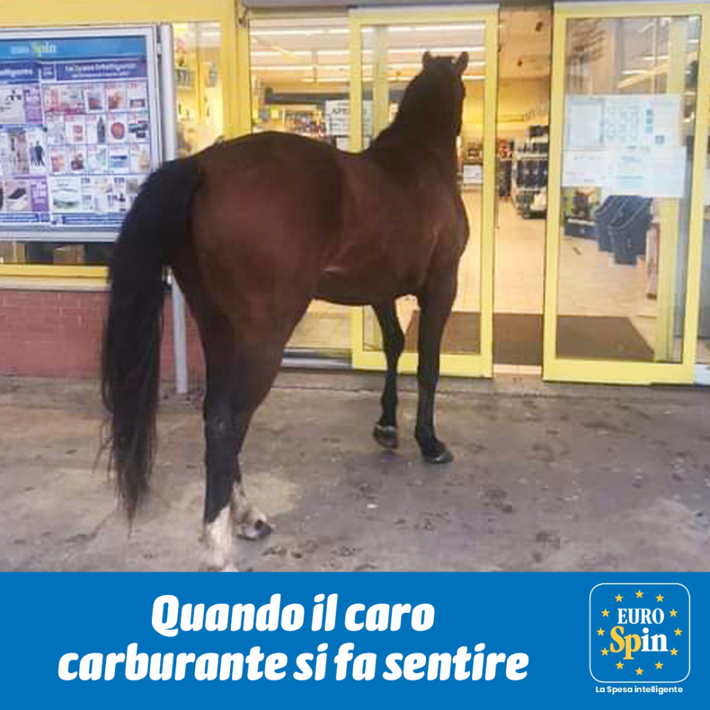 Eurospin-cavalca-londa