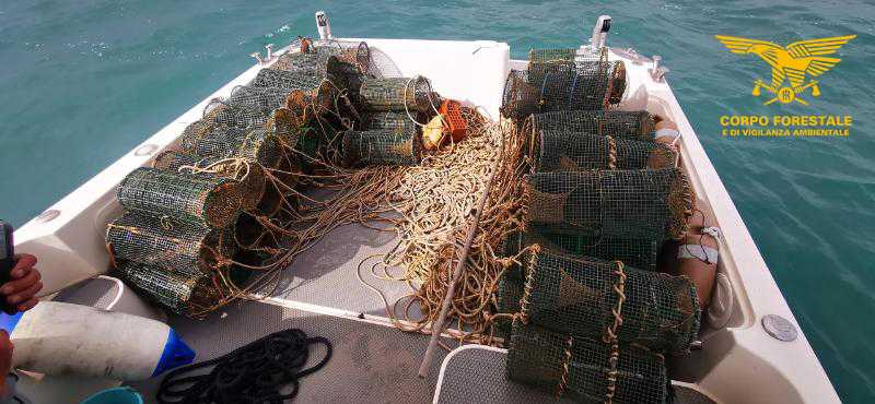 Il-materiale-sequestrato-dalla-Forestale