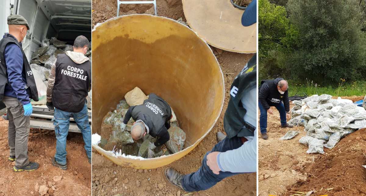 Sequestro-di-marijuana-della-Forestale