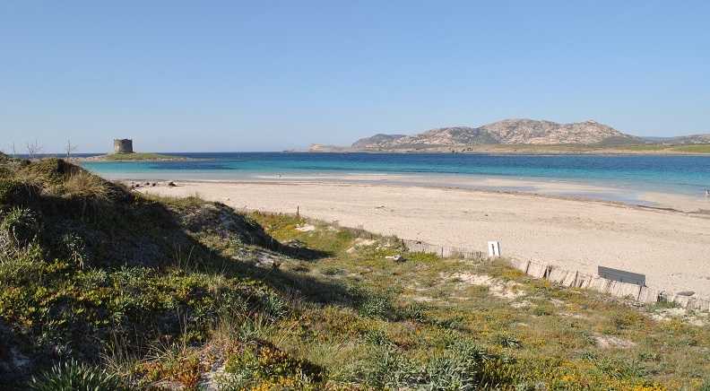 Spiaggia-della-Pelosa1