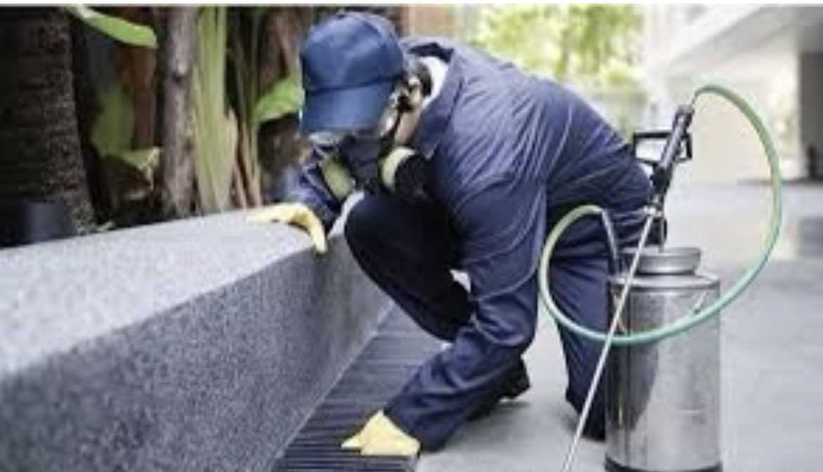 disinfestazione-immagine-simbolo