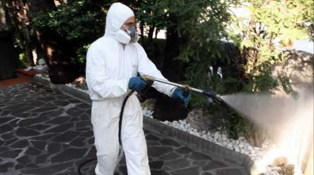 disinfestazione-topi