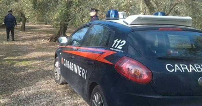 Carabinieri-in-campagna