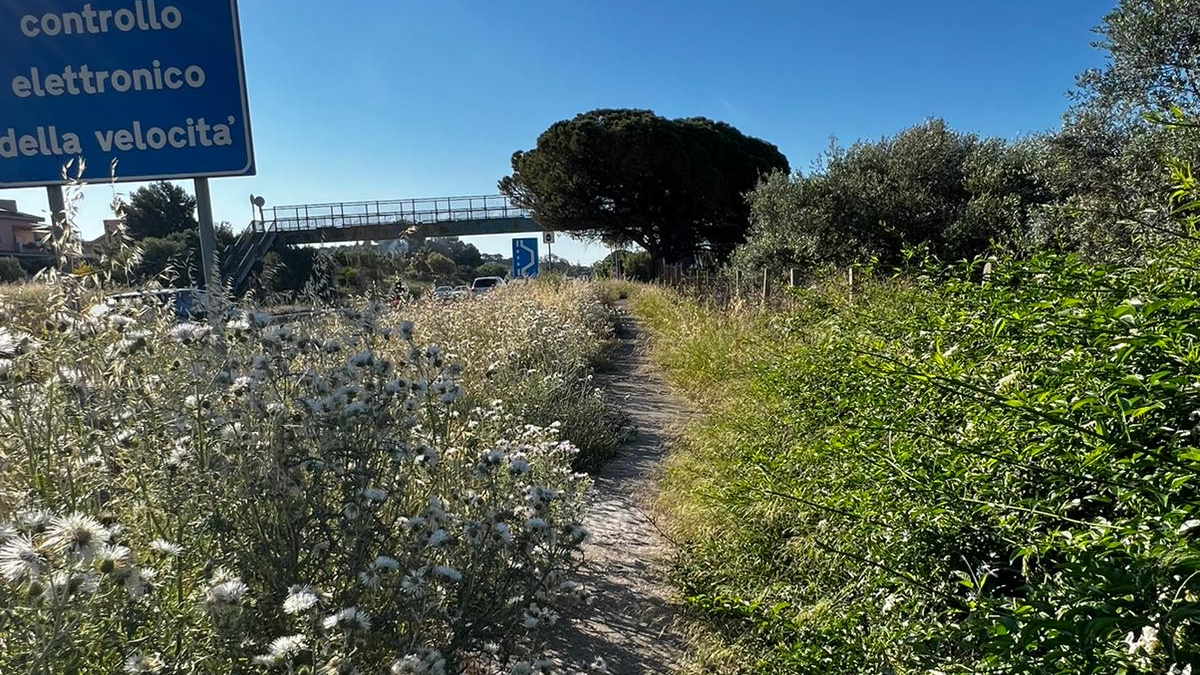 Fratelli-dItalia-su-554-a-Quartu