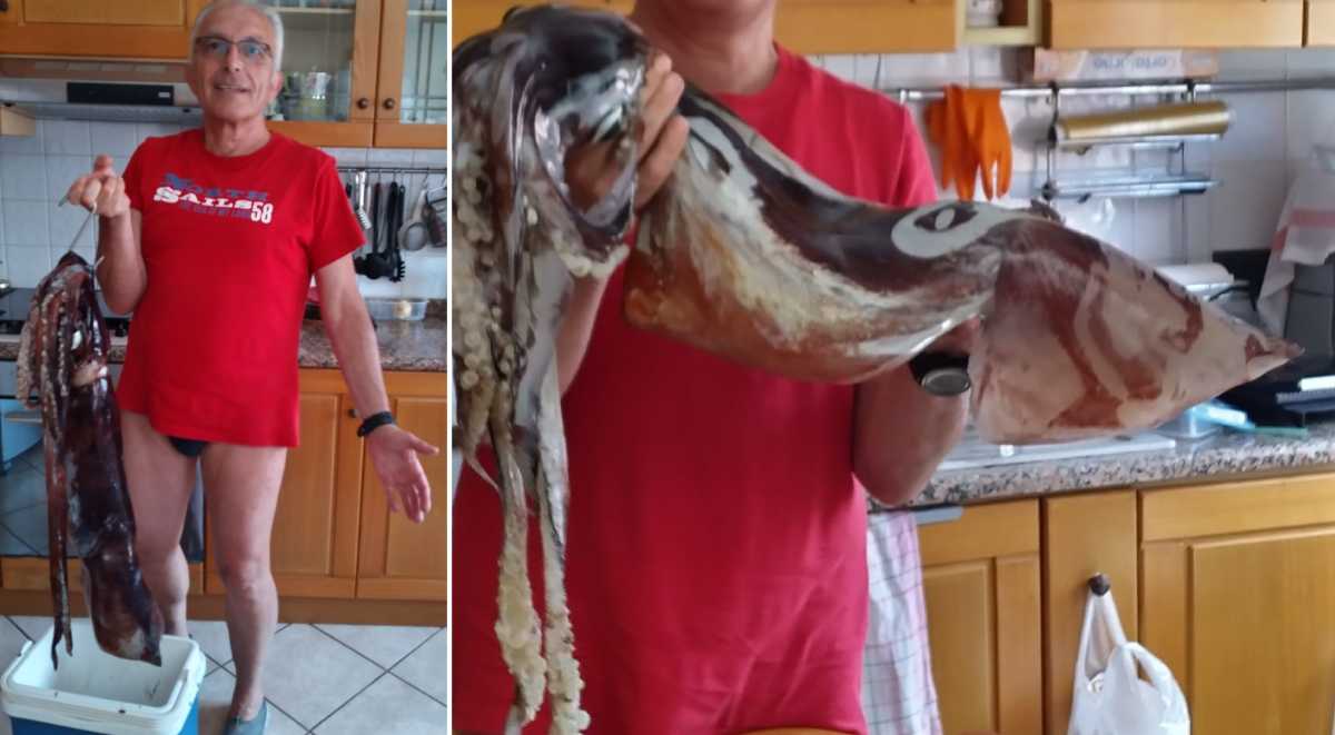 Totano-gigante-nel-mare-di-Solanas