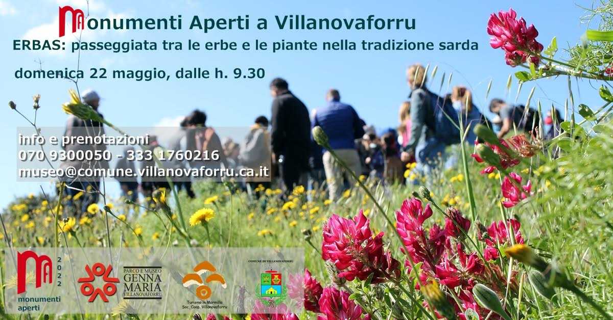 monumenti-aperti-a-Villanovaforru