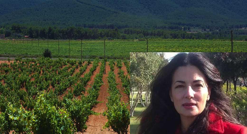 GABRIELLA-MURGIA-FONDI-SARDEGNA-