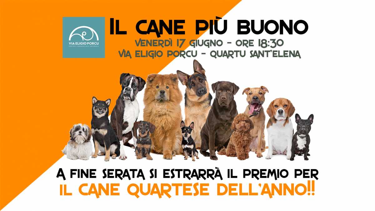 Il-cane-piu-buono-a-Quartu
