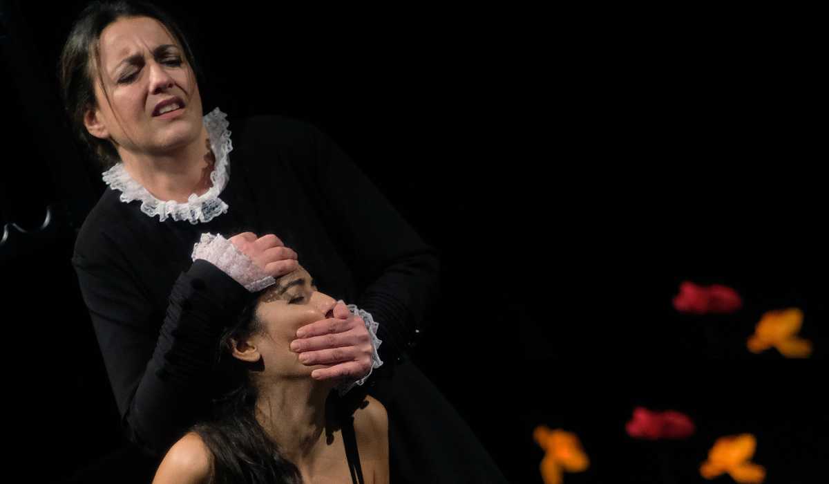 ELISA ACCABAORA 6 1 ELISA-ACCABAORA-6-1