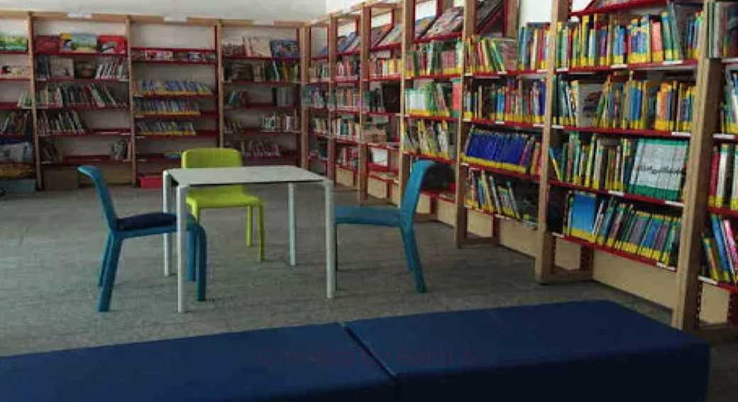 biblioteca-cerca-direttore-