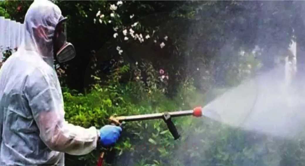 disinfestazione-ratti