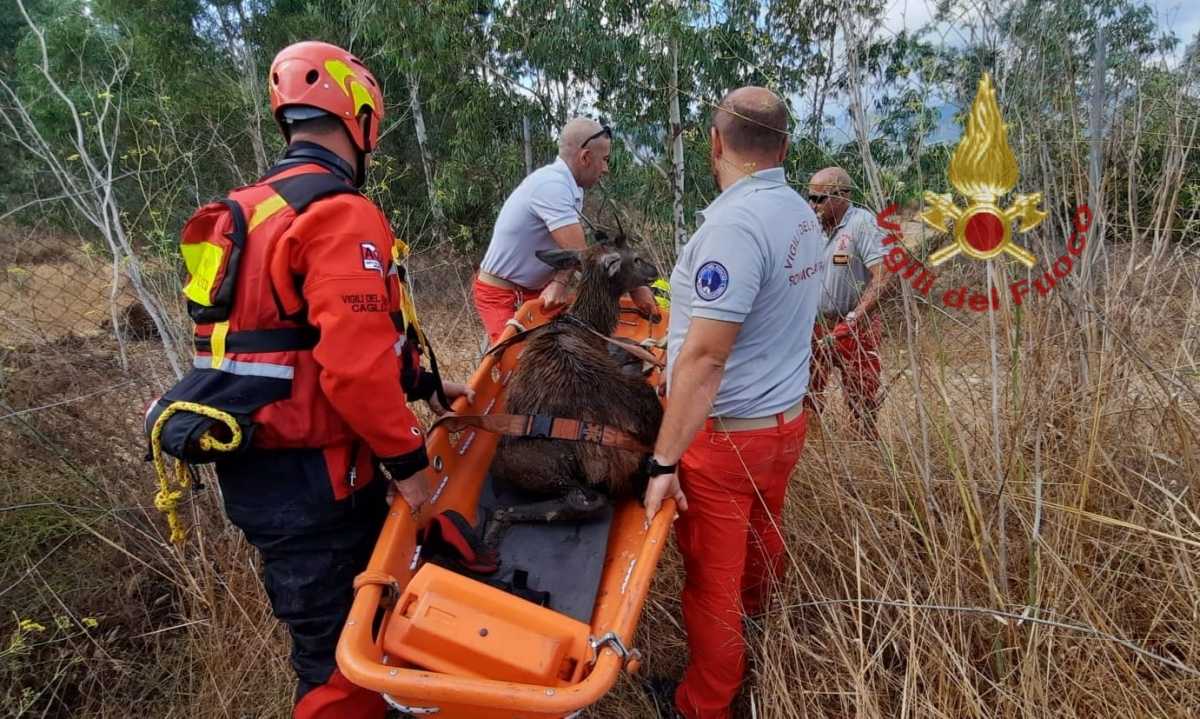 WhatsApp-Image-2022-09-21-at-134850