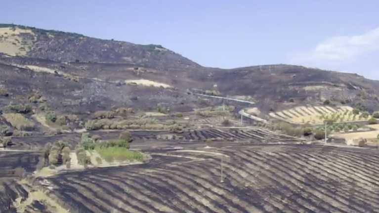 incendio-arrestato-piromane