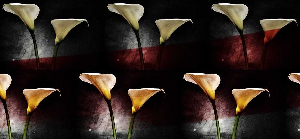 1NostraSanctissimaJo-Coda