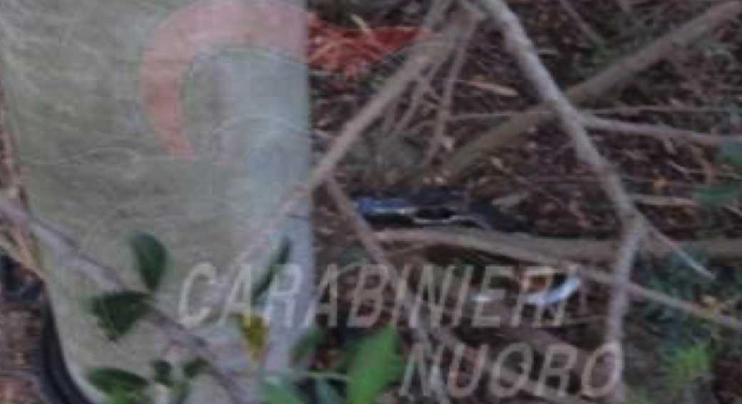 Lo-scacciacani-usato-per-la-rapina