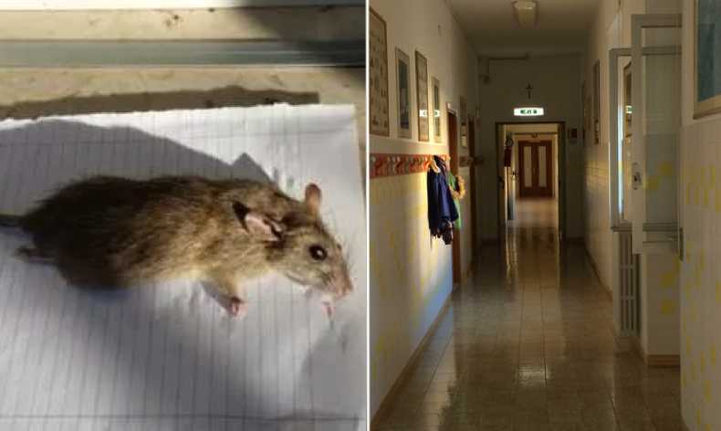 scuola-via-stoccolma